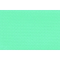 RENOLIT - Pvc armé alkor standard vert caraïbes 1.65 m | HYDRALIANS