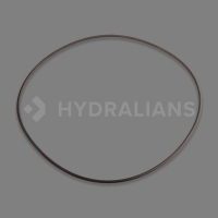 FLOWDIANS - Joint de bride couvercle filterpro | HYDRALIANS