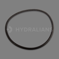 HAYWARD - Joint de couvercle star clear ii | HYDRALIANS