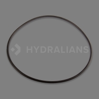 HAYWARD - Joint de couvercle star clear plus | HYDRALIANS