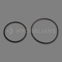 HAYWARD - Joint torique pour soupape de décompression | HYDRALIANS