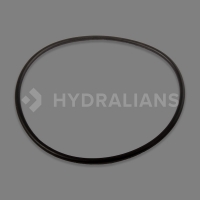 HAYWARD - Joint de couvercle filterpro 2 | HYDRALIANS