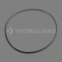 HAYWARD - Joint de couvercle vanne side 1‘‘ 1/2 | HYDRALIANS
