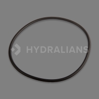 HAYWARD - Joint de couvercle pour vanne top 1"1/2 hayward | HYDRALIANS