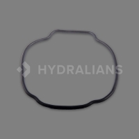 HAYWARD - Joint de corps de pompe tristar | HYDRALIANS