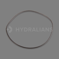 HAYWARD - Joint de corps de pompe booster pump | HYDRALIANS