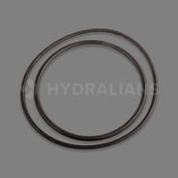 PENTAIR - Joint hydraulique boost rite 100m / 150m (lot de 2) | HYDRALIANS