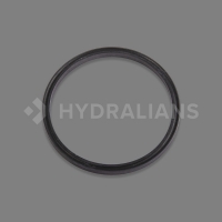 HAYWARD - Joint de diffuseur pour pompe powerflo 2 | HYDRALIANS