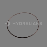 HAYWARD - Joint torique de couvercle 1"1/2 | HYDRALIANS