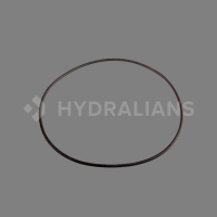 HAYWARD - Joint torique de couvercle 2" | HYDRALIANS