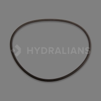 HAYWARD - Joint torique de dôme filtre side hi | HYDRALIANS