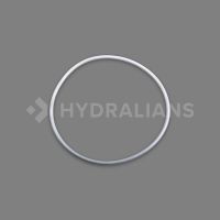 PENTAIR - Joint pour couvercle 8" de filtre triton | HYDRALIANS