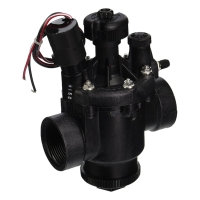 Électrovanne P220 2" FF 24V