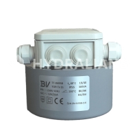 Transformateur immergé 230V - 300W