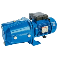 Pompe auto-amorçante monophasée CAM 100