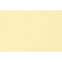 PVC armé ALKOR standard largeur 1,65 m - 1,65 m - sable