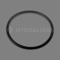 Joint raccord union D63 pour pompe TIFON/SILVER/WIPER3