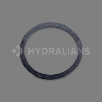 Joint torique pour diffuseur POOL M