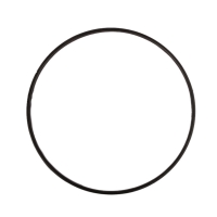 Joint torique de corps de filtre SWIM CLEAR