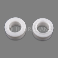 RCX26000PAK2 Roulement chenille Aquavac (x2)