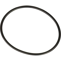 Joint torique de dôme C500EXP