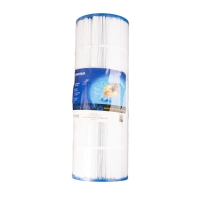 Cartouche Clean and Clear Plus - 320