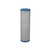 Cartouche Clean and Clear Plus - 520