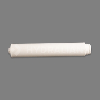 Crépine pour filtre Triton Clear Pro TRCP 100