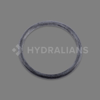 Joint diffuseur pompe (SW)5P6R