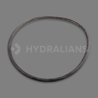 Joint d'étanchéité pour vanne de filtre à sable TAGELUS