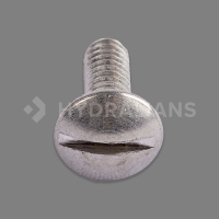 Vis turbine pompe S5P2R