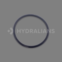 Joint torique du mat d'alimentation POLARIS 380