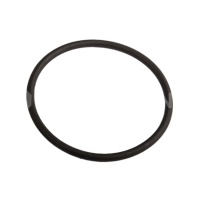 Joint torique électrode EI