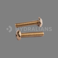 Vis POLARIS 280 10x32-7/8 inox (sachet de 2)