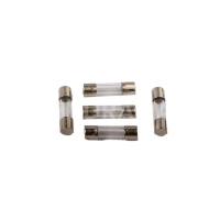 Fusible T2A MINISALT (lot de 5)