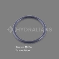 Joint torique étanchéité sonde ECL6