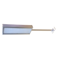 Applique SS007 sur bras blanc neutre
