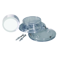 Pedichlore pour galet 250g