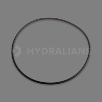 Joint de corps Ondina