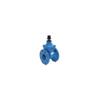 Robinet vanne AEP INFINITY B1 15 - DN65
