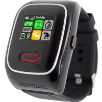 Montre Emerit e-WG100 PTI