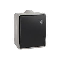 Interrupteur étanche 10AX 250V~. IP54