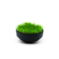 Kit panier gazon pour arroseur 11000