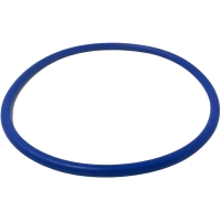 Joint de couvercle INTELLIFLO 3 VSF 3CV