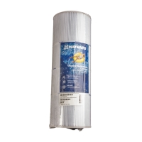 Cartouche filtrante SWINCLEAR CXXRE