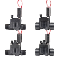 Électrovanne PGV 100 24V 1"