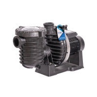 Pompe filtration Sta-Rite monophasée