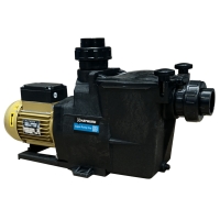 Pompe piscine SUPER PUMP PRO 0.75kW