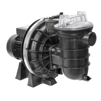 Pompe filtration La Starite triphasée