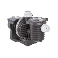 Pompe piscine monophasée STA-RITE HD eau de mer